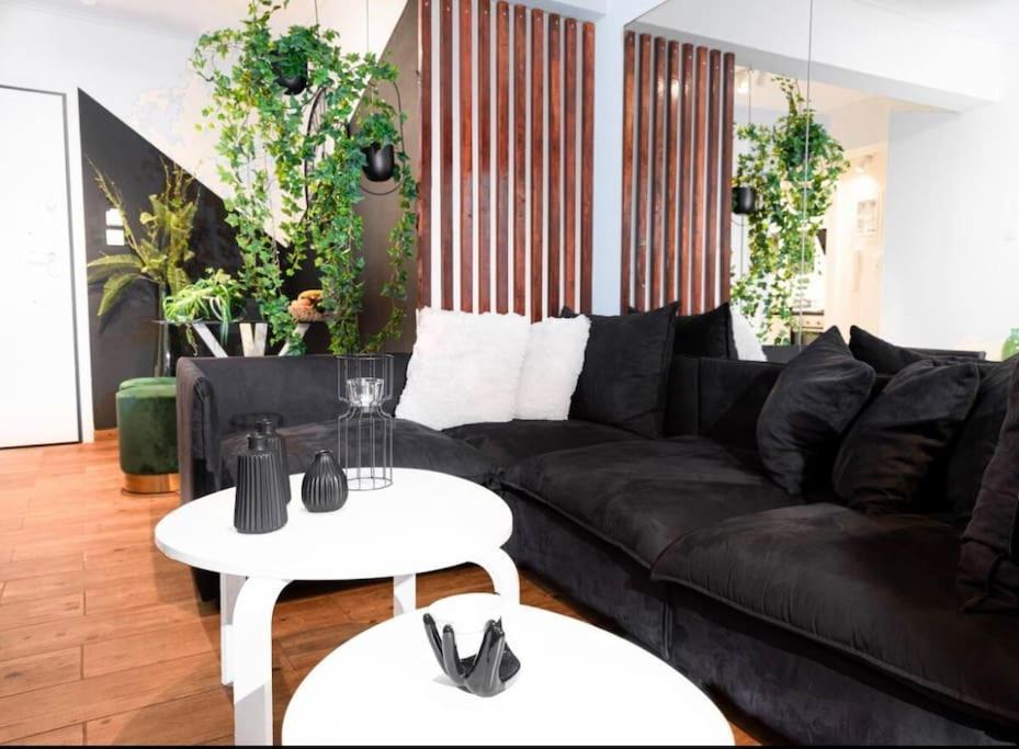 Novel Acropolis Apartment 雅典 外观 照片