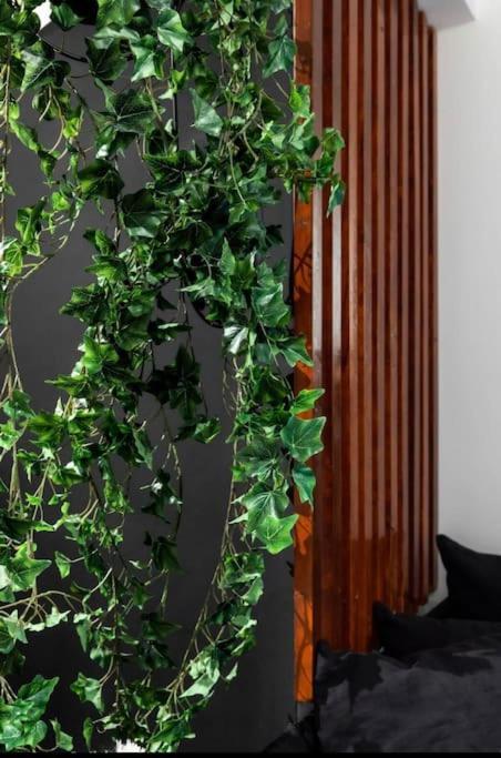 Novel Acropolis Apartment 雅典 外观 照片