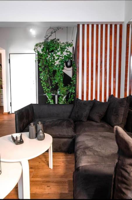 Novel Acropolis Apartment 雅典 外观 照片