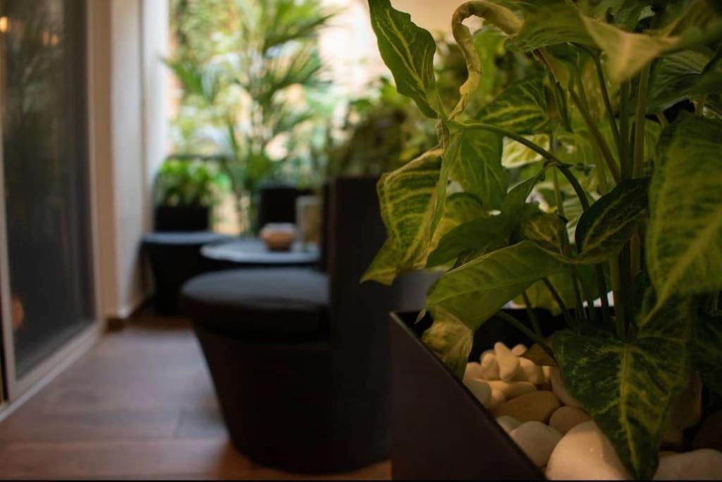 Novel Acropolis Apartment 雅典 外观 照片